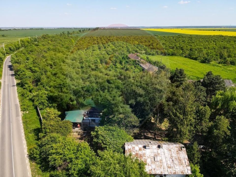 Land 101,100sqm Adunatii-Copaceni / None