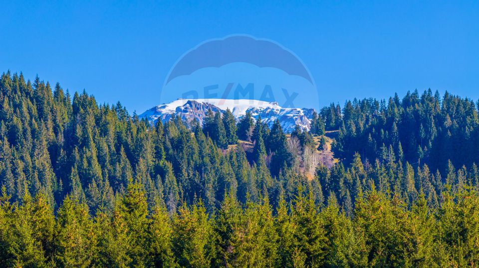 COMISION 0% Teren 13,800mp Fundatica / Intravilan