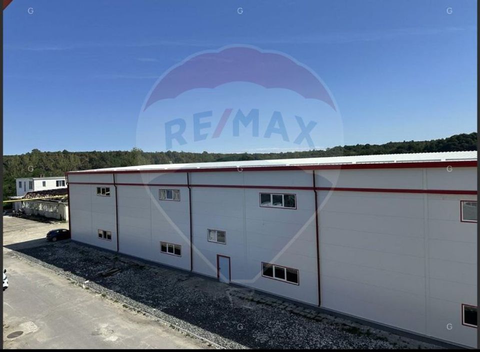 Hală producție/logistică cu poduri rulante-zona Avrig-Inchiriere