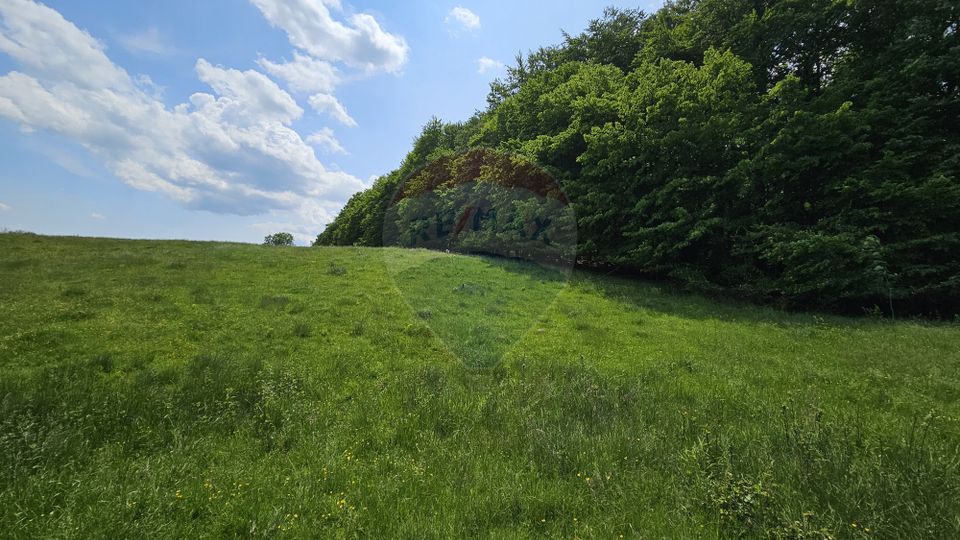 Teren Ilisesti  7000mp extravilan/ DN 17, Suceava