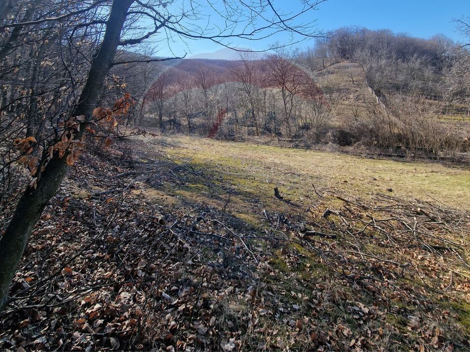 Land 4,985sqm Sascut / None