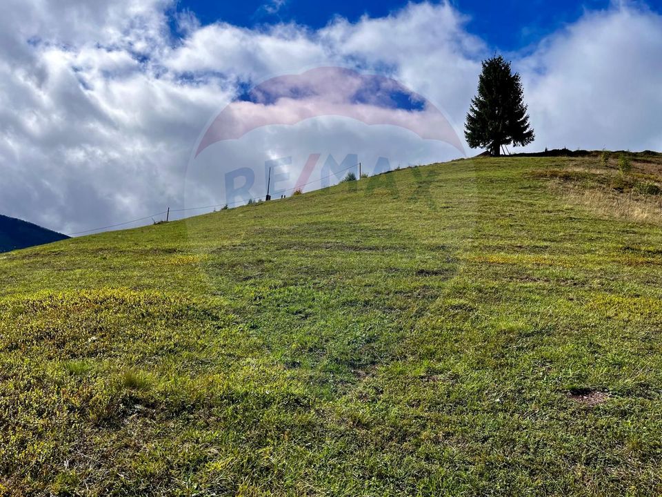 Land 6,500sqm Arieseni / Drumul Catunul Valea Galbenei