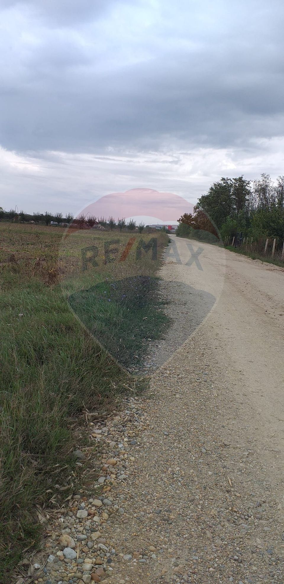 Teren extravilan 3000mp de vânzare la Sântion