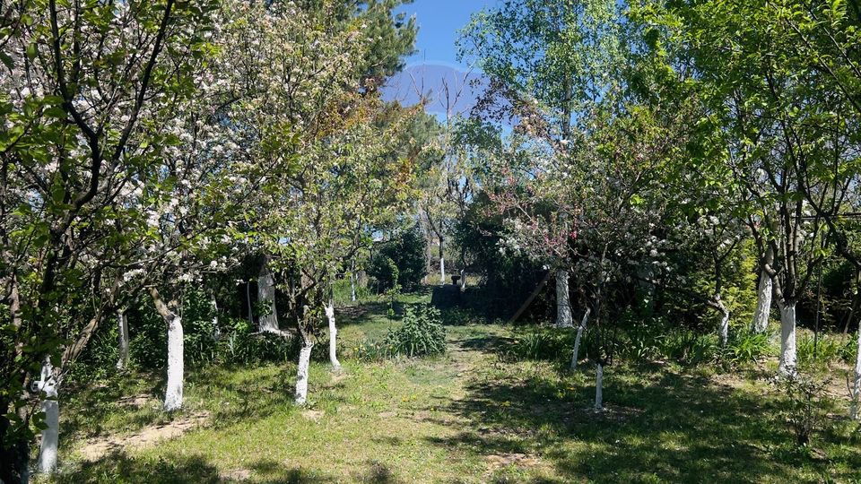 Casă / Vilă cu 4 camere de vânzare