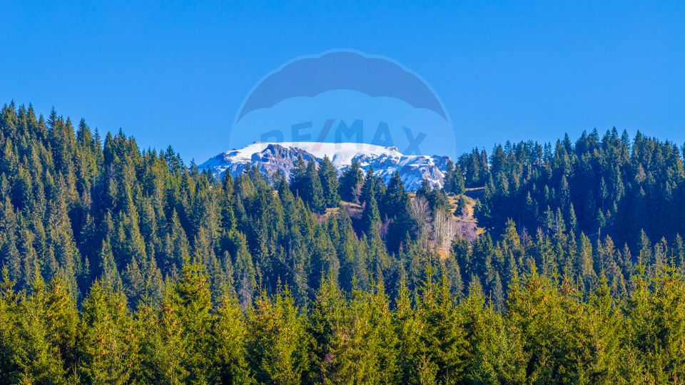 Land 13,800sqm Fundatica / Drumul FN