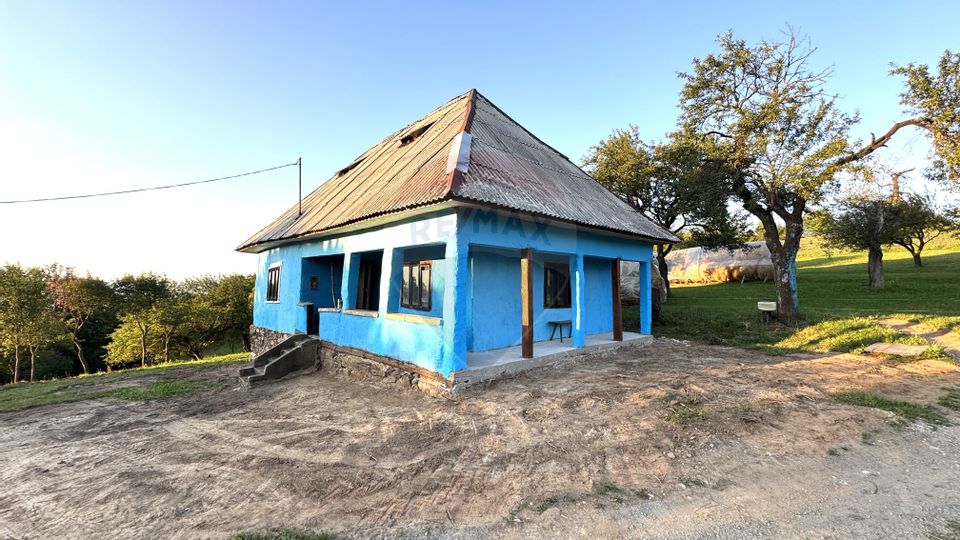 DE VANZARE CASA CU SUFELT SI ISTORIE