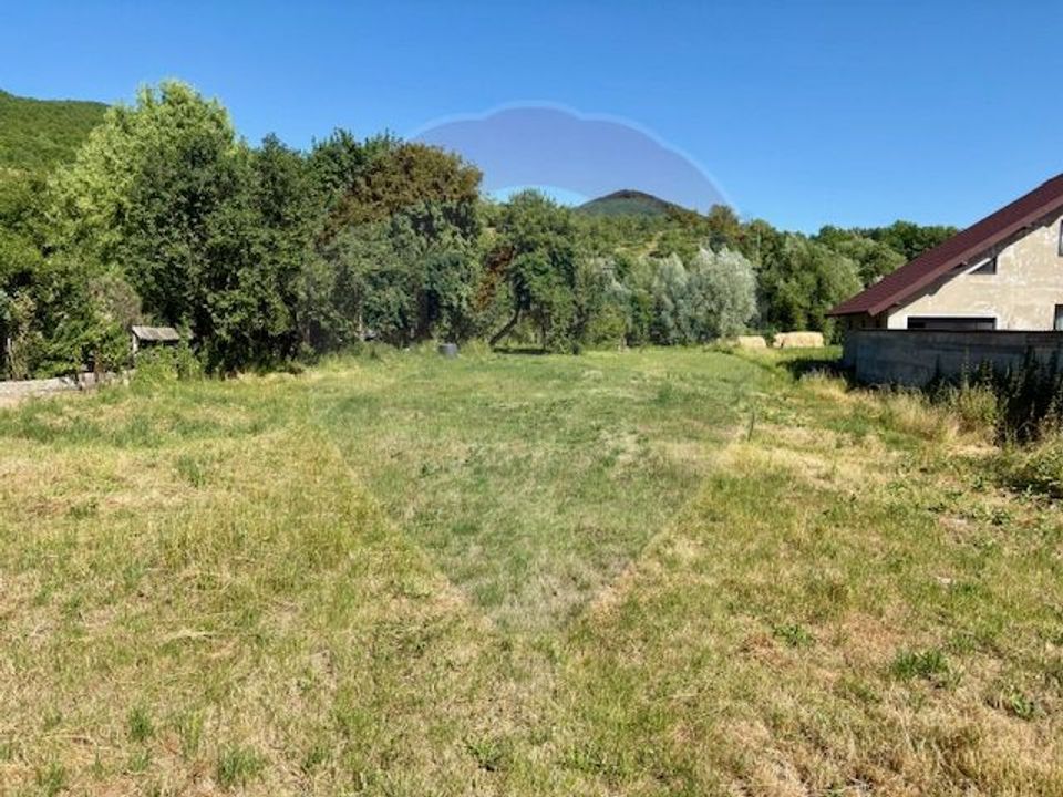 Land 3,154sqm Barsana / Intrarea principala