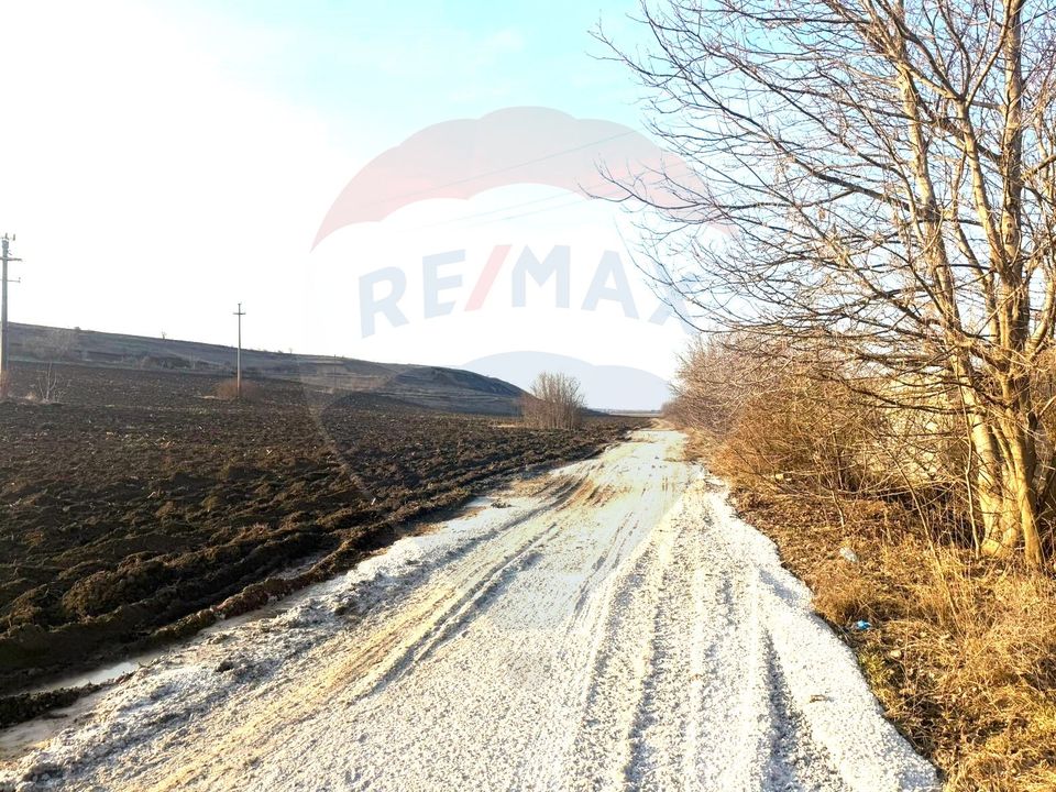 Land 4,956sqm Letea Veche / Calea BARLADULUI