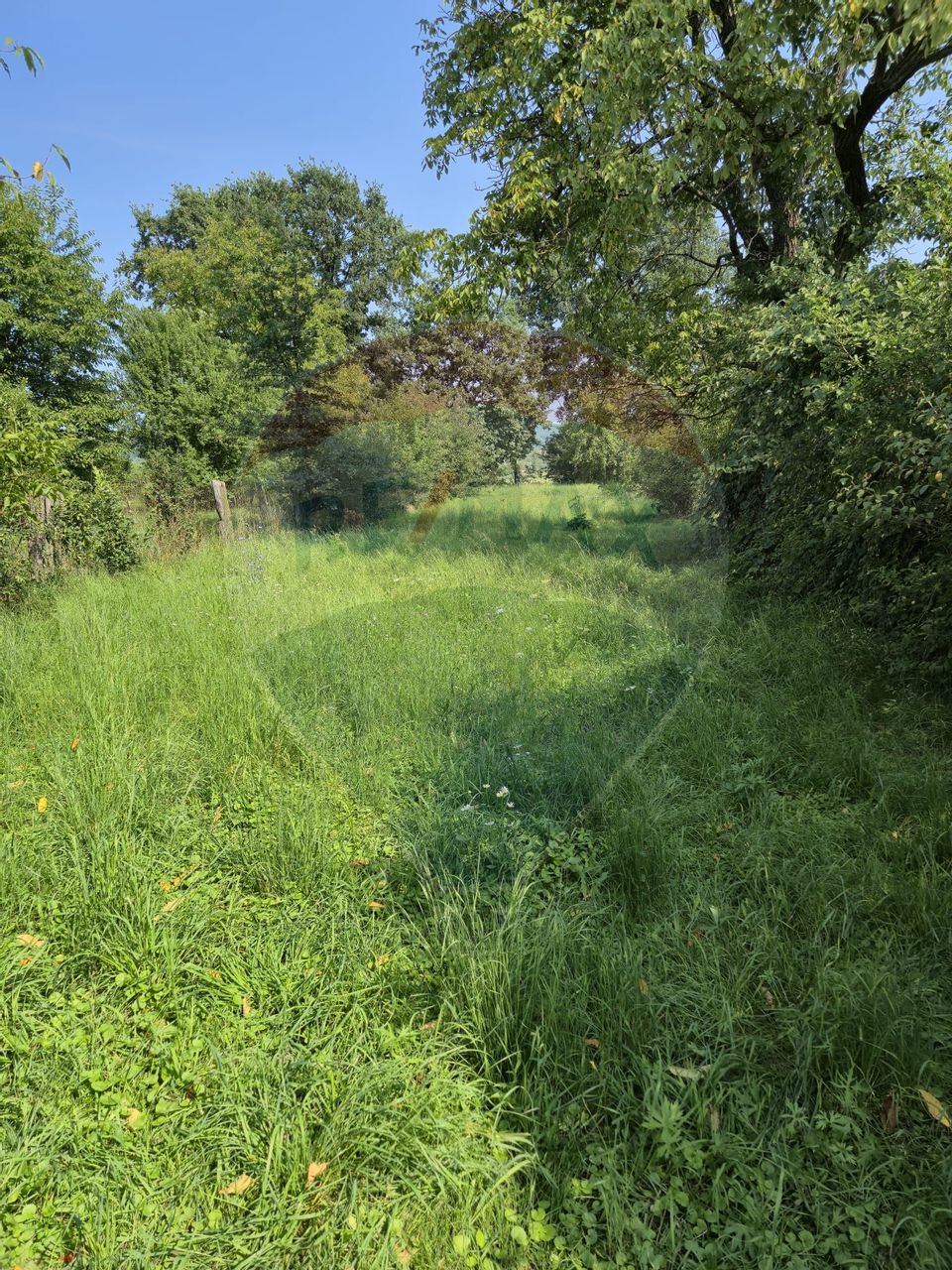 Casă / Vilă cu 4 camere de vânzare