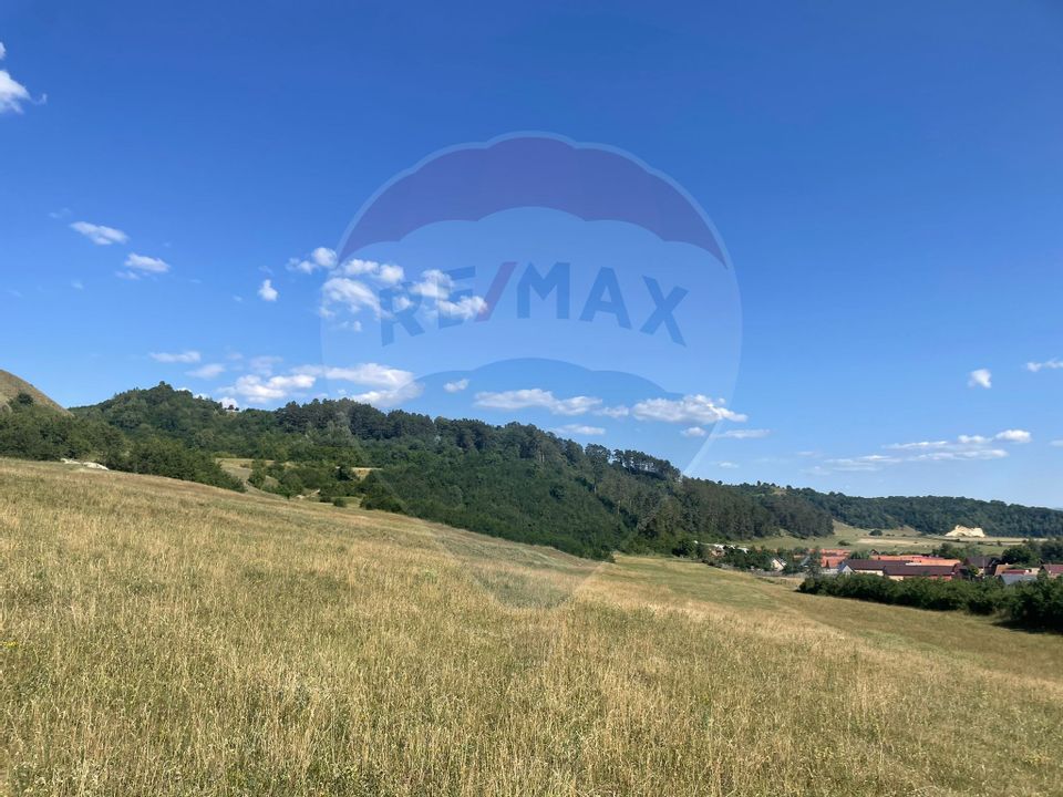 Land 36,000sqm Araci / Strada Principala