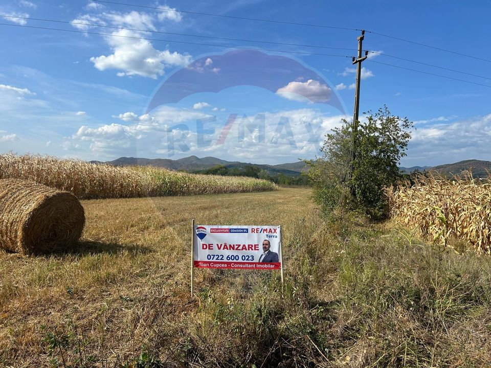 Land 3,172sqm Sasar / Strada 1 Decembrie