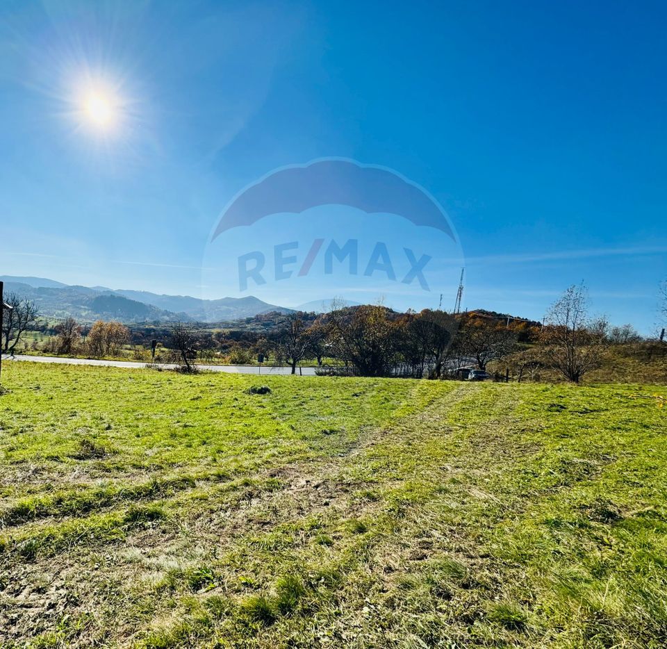 Teren 5,325mp Rona de Jos / Soseaua Prinncipala