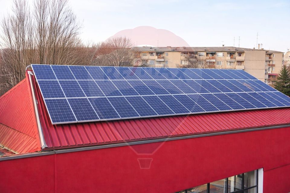 BEST DEAL! Energie gratis 250 mp Teiul Doamnei