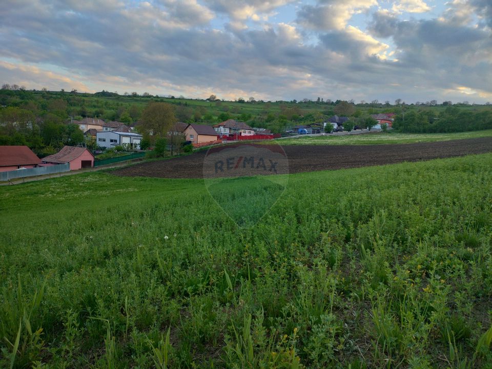 Teren intravilan Tarnaveni