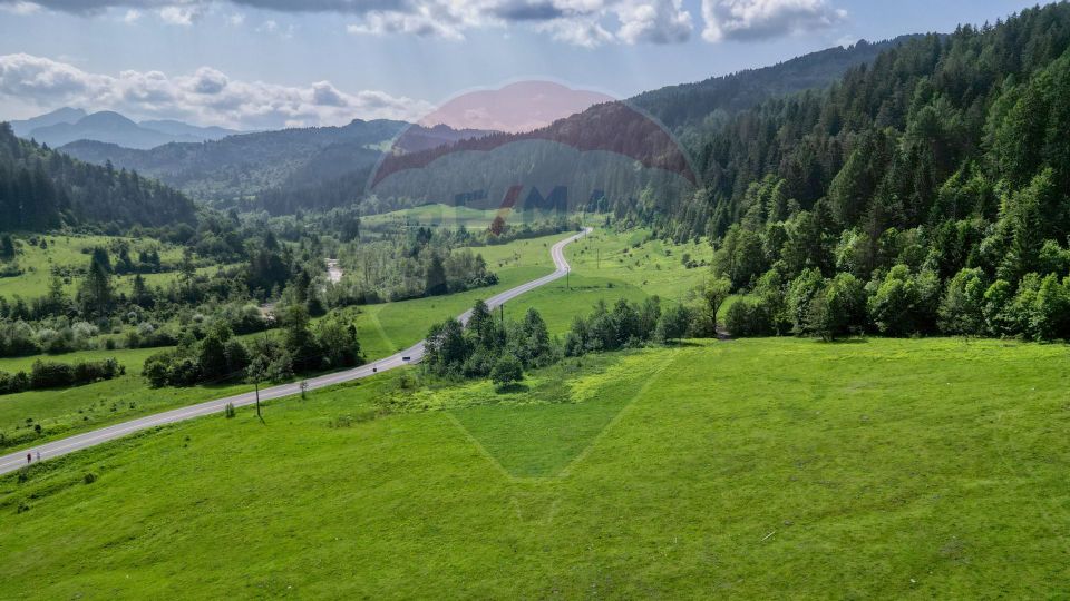 Land 10,000sqm Sacele / Strada Barajului