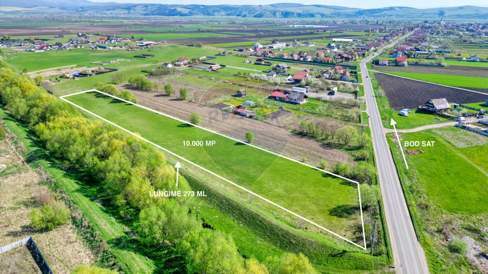 Teren De Vanzare In Localitatea Bod, Brasov, 10.000 MP