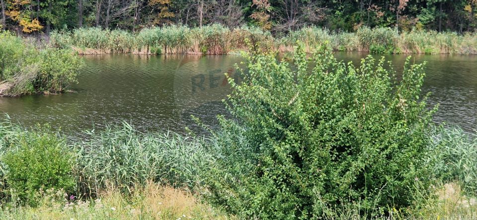 Land 4,500sqm Moara Vlasiei / Strada P229