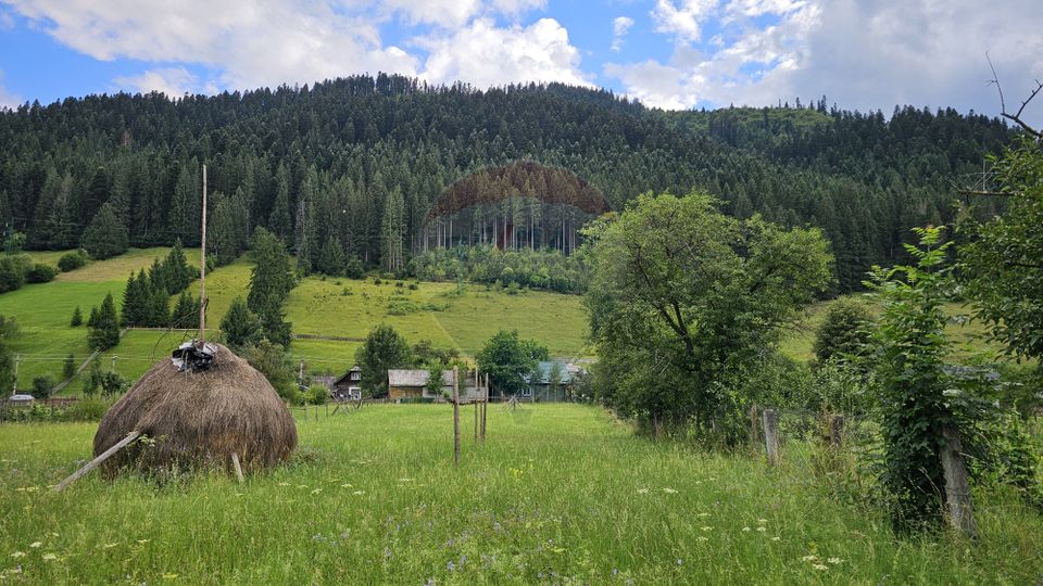 Casa 225 mp, teren intravilan 4822 mp C. Moldovenesc, Suceava