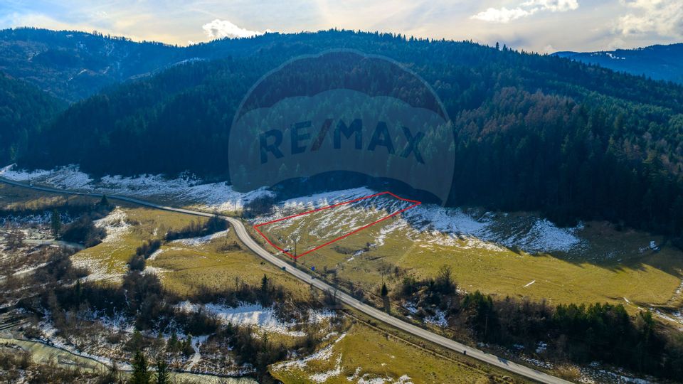 Comision 0% | Teren 10,000mp Sacele / Strada Barajului