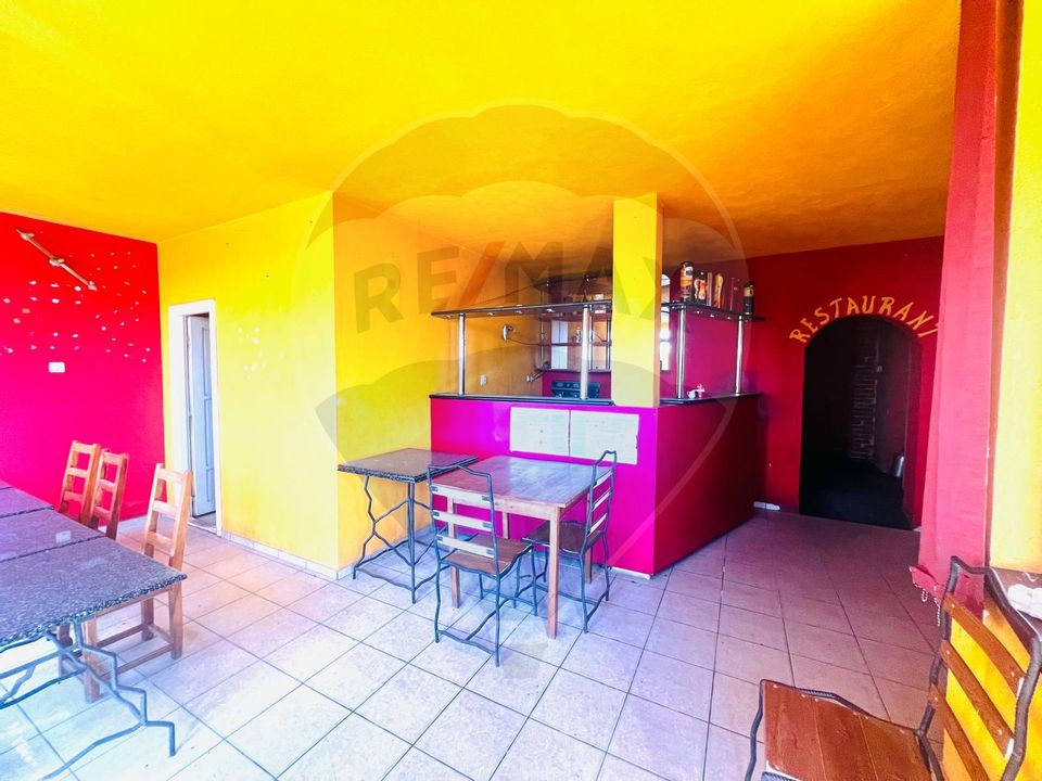 Casă P+E+M cu spălătorie auto și restaurant la DN 7 în LIPOVA