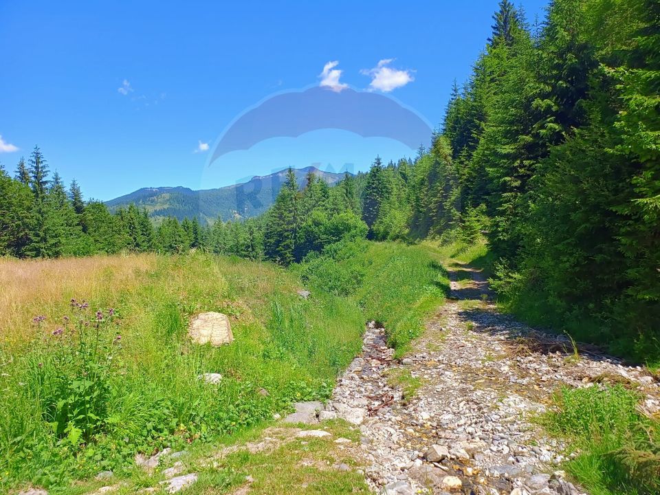 Teren 2,895mp Strada Priseci acces auto in zona telecabina BORSA