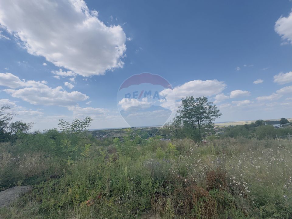 Teren  6.372mp Strs.Piersicilor/Str.Prunilor