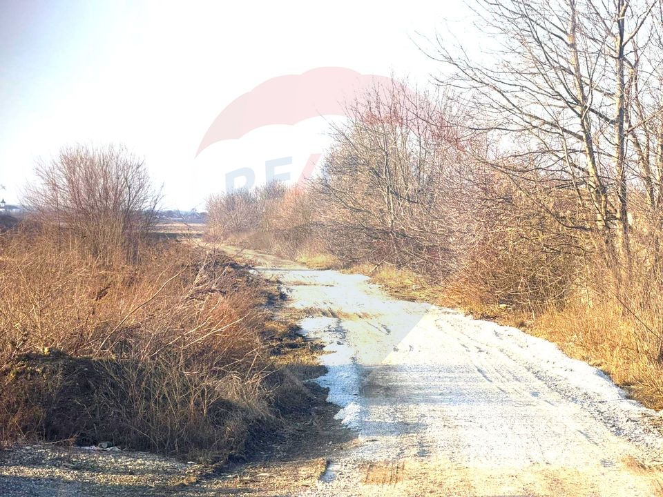 Land 4,956sqm Letea Veche / Calea BARLADULUI
