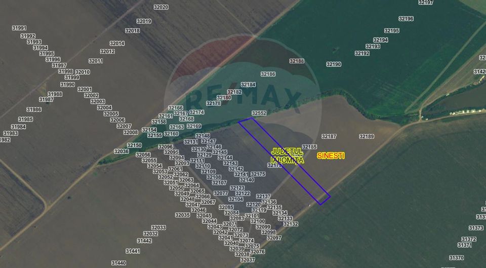 Land 8,814sqm Sinesti / Drumul Tarla 226/1