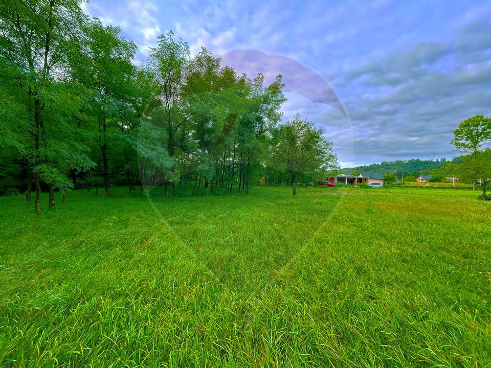 Land 5,500sqm Fauresti / Strada Principala