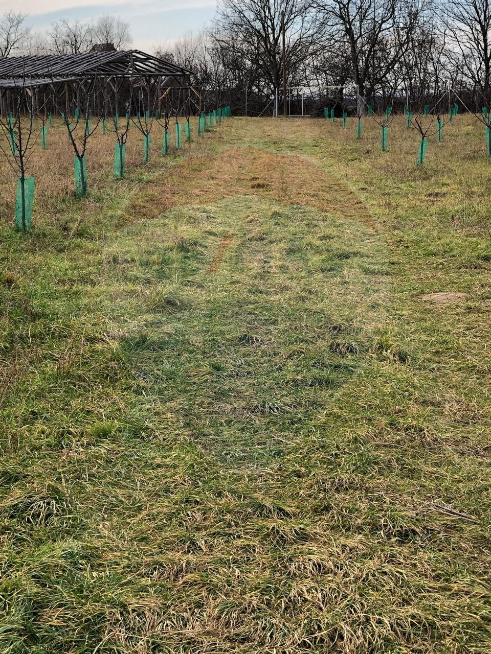 Land 6,000sqm Lugasu de Jos / Strada principala