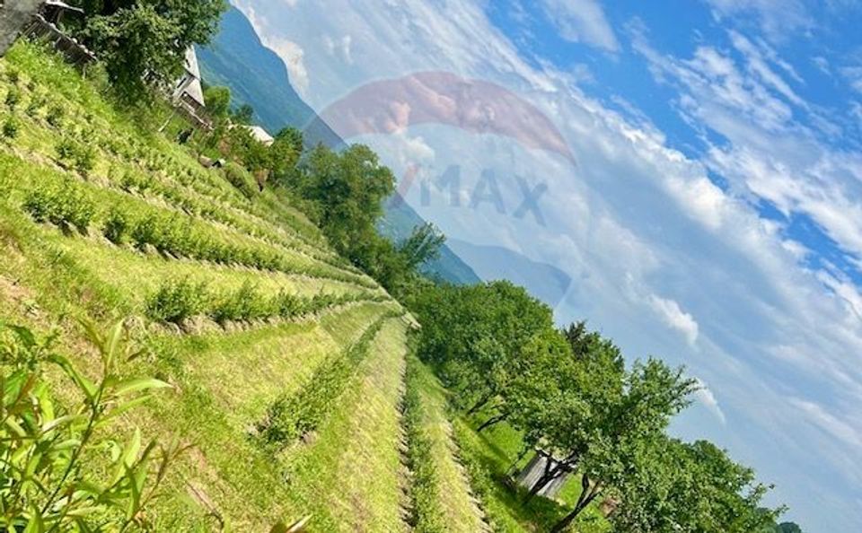 Land 6,900sqm Breb / Drumul dupa sat