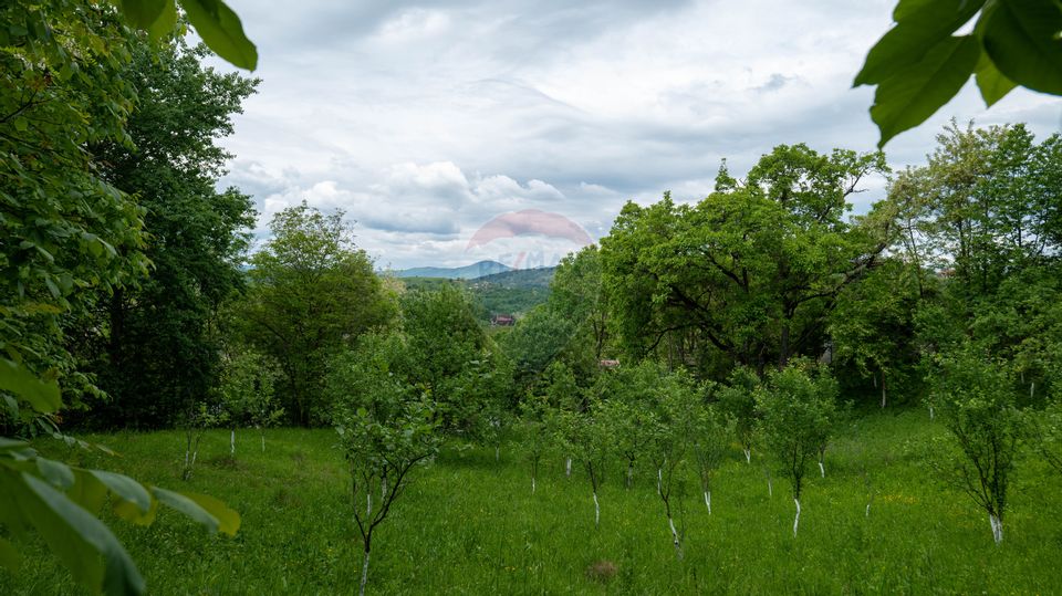 Vanzare teren intravilan in Breaza, cartierul Valea Tirsei 6870 mp