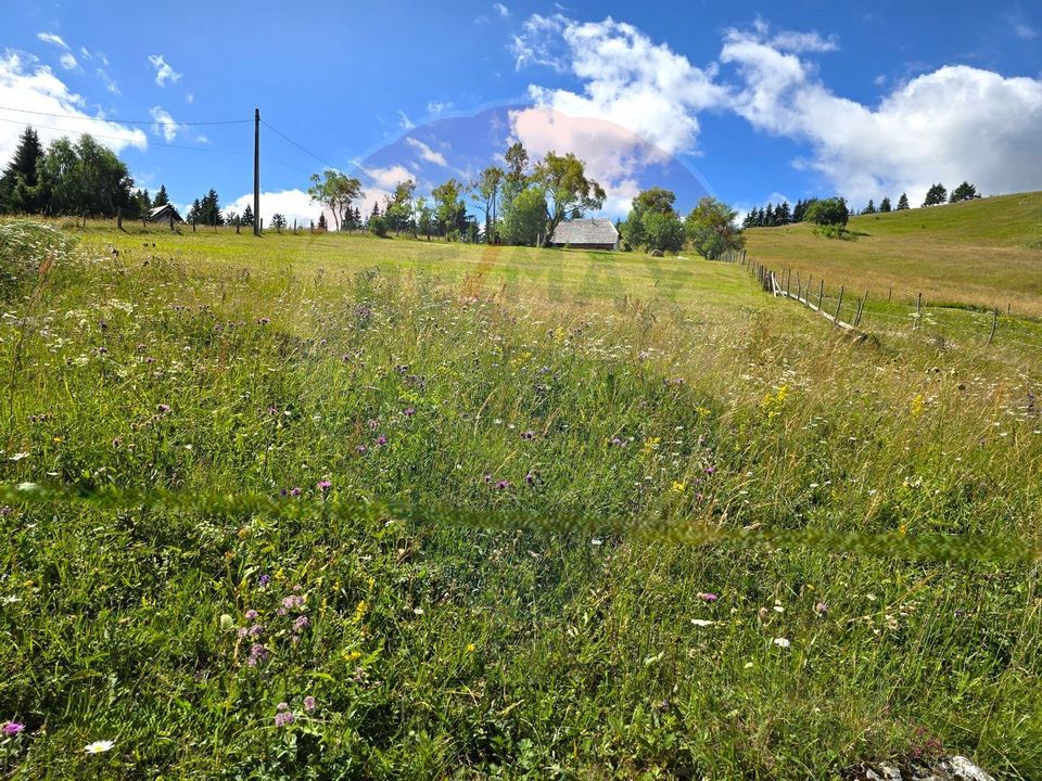 Teren de vis în Fundata 1934mp sau 3868mp, la înălțimea sufletului tău