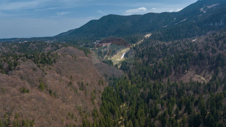 Land 19,086sqm Brasov / Strada Valea lungă