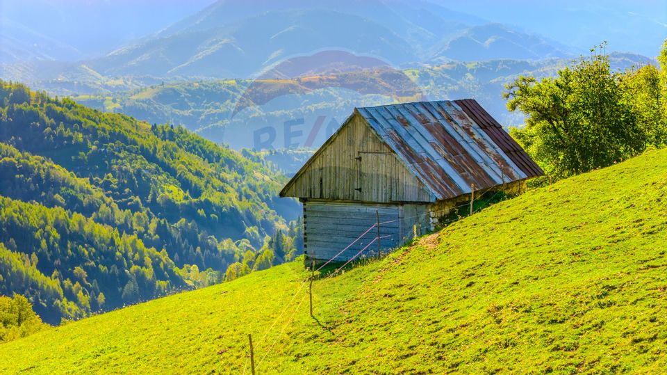 COMISION 0% Teren 10,594mp Pestera /Intravilan