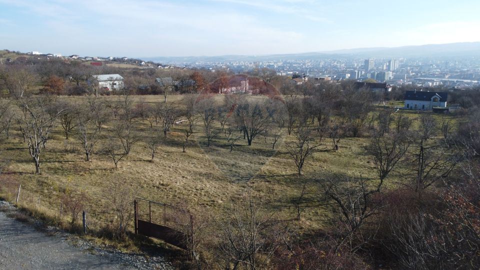 Teren 20.146 mp Dâmbu Rotund (Lomb).Extravilan.Potențial rezidențial