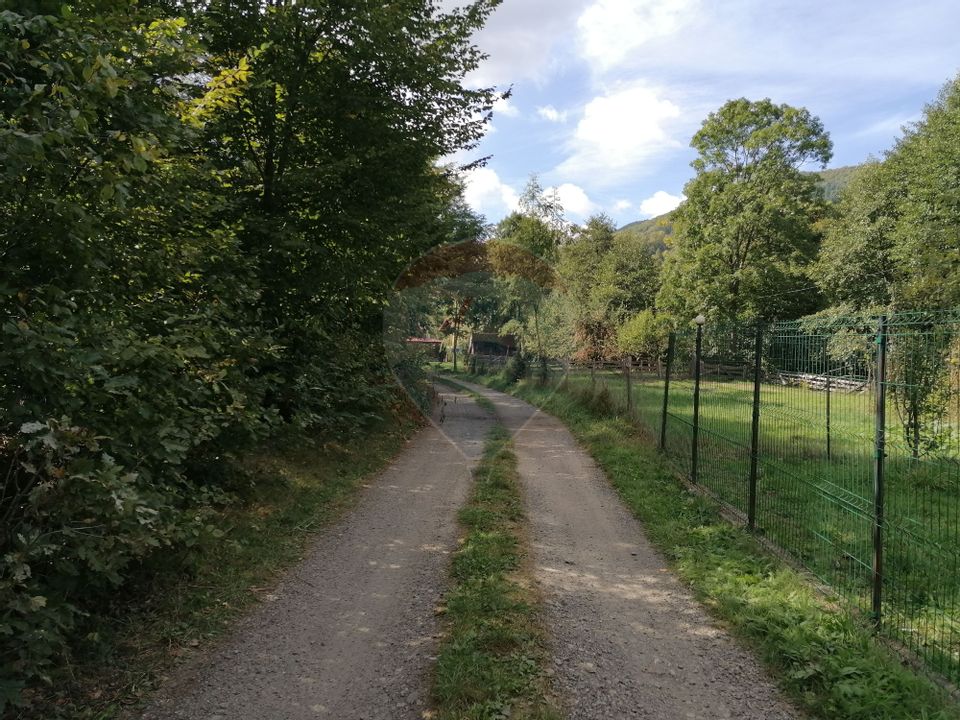 Teren 6,000mp Valea Draganului / Strada Principala
