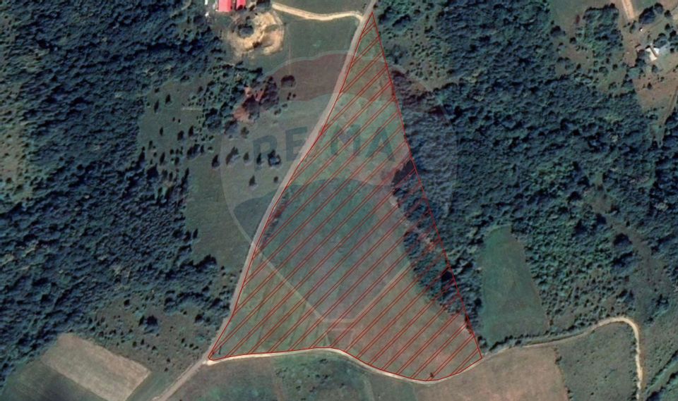 Land 43,281sqm Halmasd / Drumul Fufez