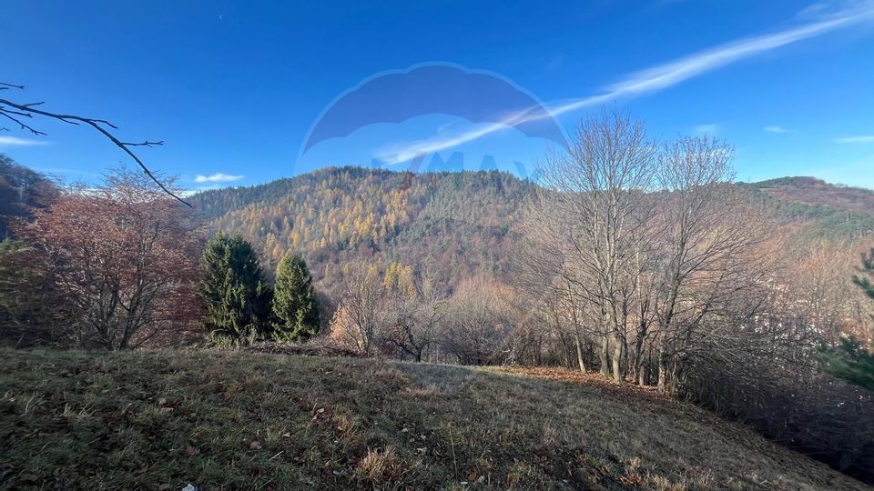 Teren Colinar Panoramic – 17.684 mp în Scheii Brașovului