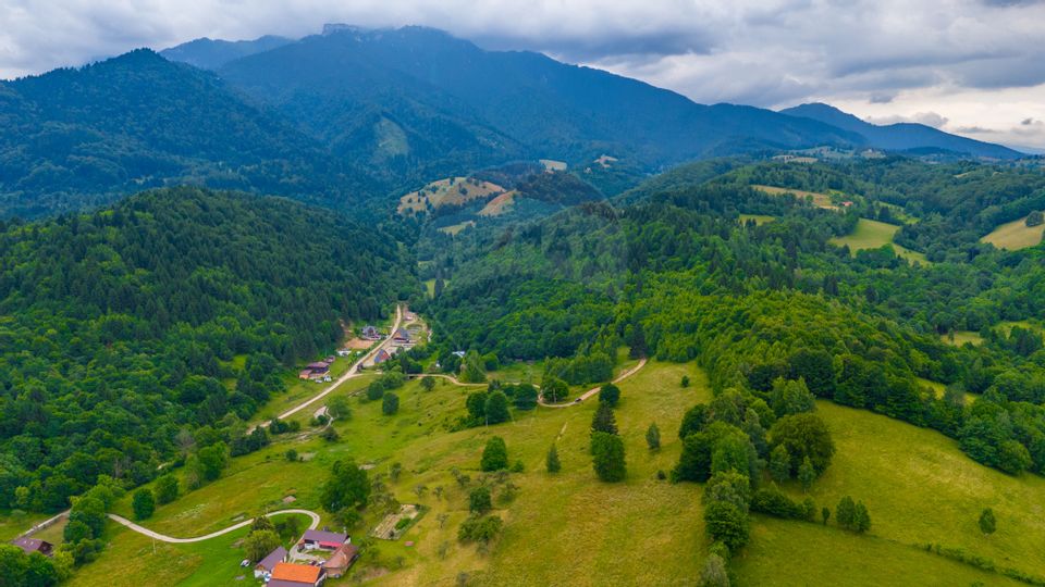 Land 2,410sqm Rasnov / Strada Valea Panicelului FN