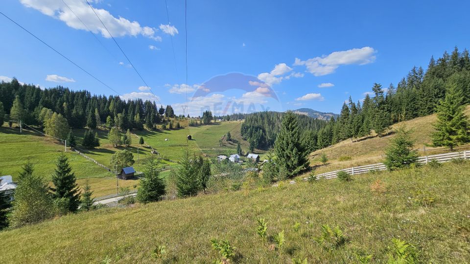 Casă / Vilă de vacanta in Dorna Arini, Suceava