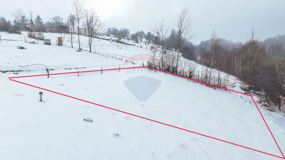 Land 500sqm Zarnesti / Strada Pe tarina