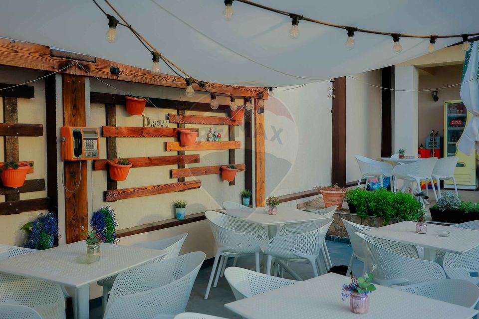 10 room Hotel / Pension for sale, Nufarul area