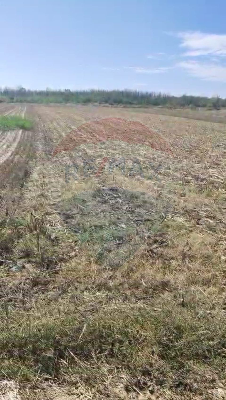 Land 5,000sqm Giurgiu / Strada Tufan