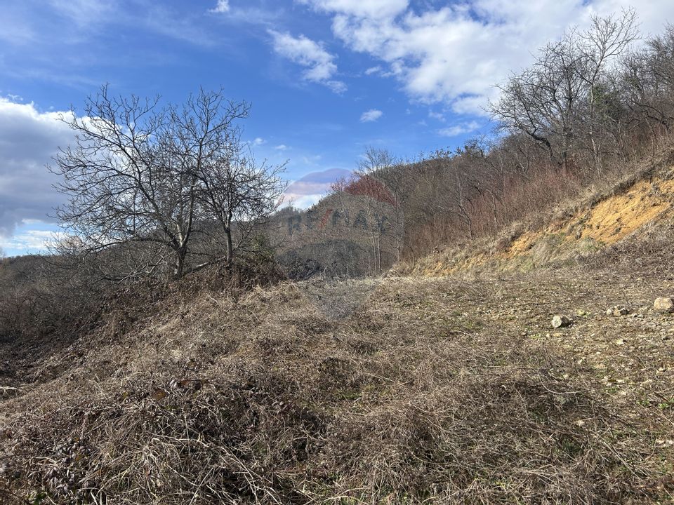 Teren 2,868mp /case/ duplexuri /Baia Mare / Strada Sanatatii Panoramic