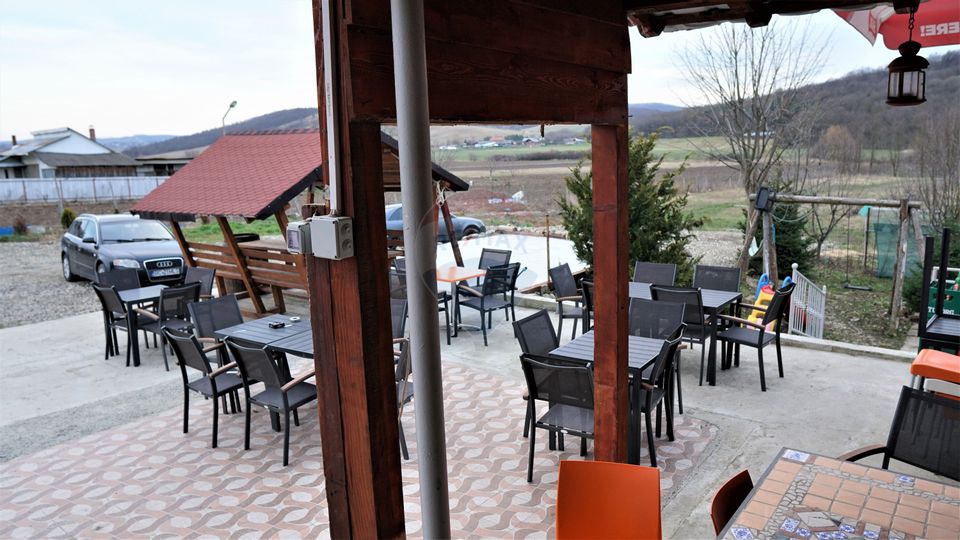 Afacere, tip BAR cu teresa in Traian-Zapodia