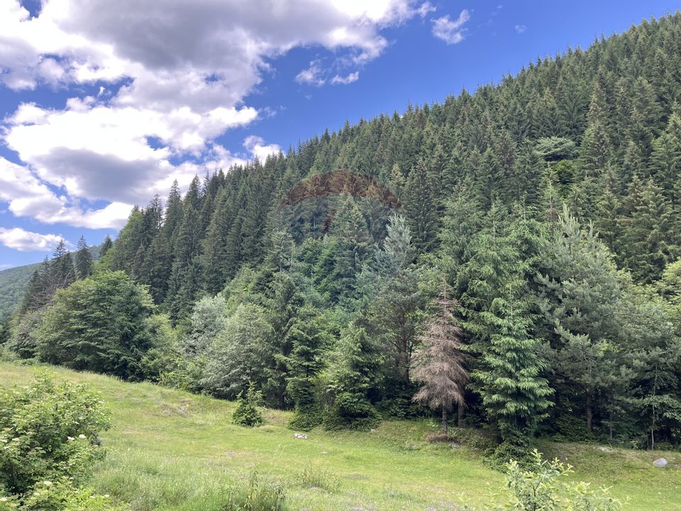 Teren spectaculols de vânzare la baza Muntelui Iezer – 11.546 mp c