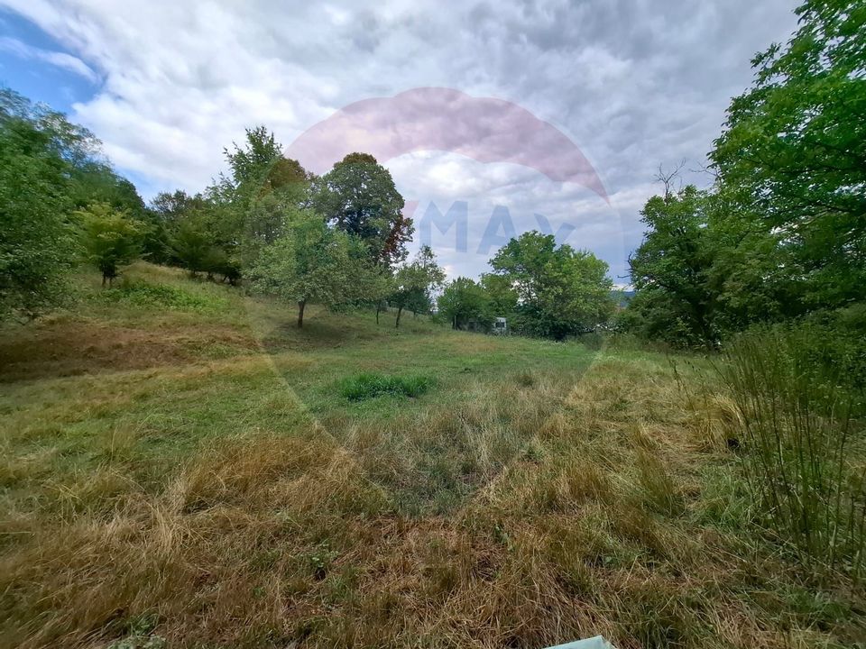 Land 990sqm Barzava / Soseaua Principala