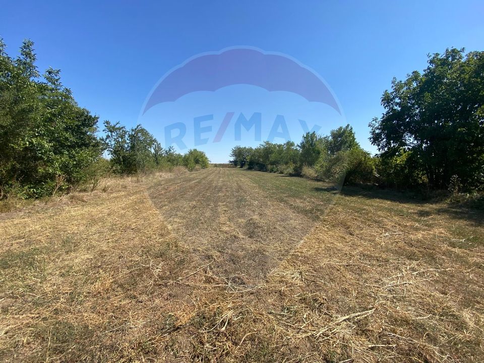 Teren de vanzare, 25km de București, Sinești, loc. Lilieci