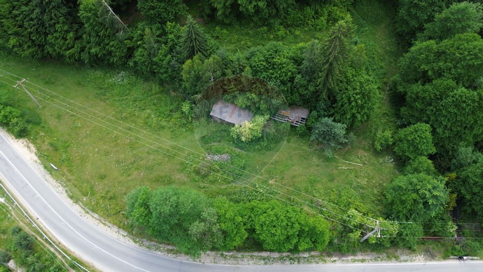 Teren spectaculols de vânzare la baza Muntelui Iezer – 11.546 mp c